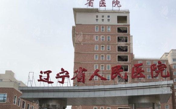 遼寧省人民醫(yī)院整形外科 遼寧省人民醫(yī)院整形外科