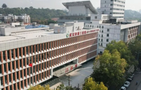 武漢市第三醫(yī)院/整形科室 武漢市第三醫(yī)院/整形科室