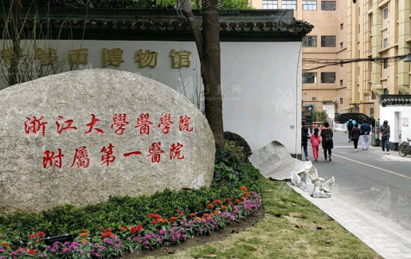 浙大一院整形外科 浙大一院整形外科