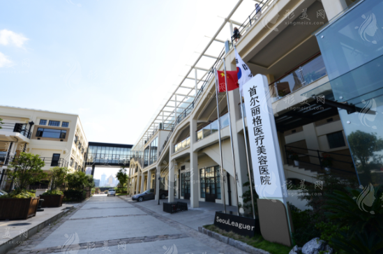 上海首爾麗格醫(yī)療美容醫(yī)院