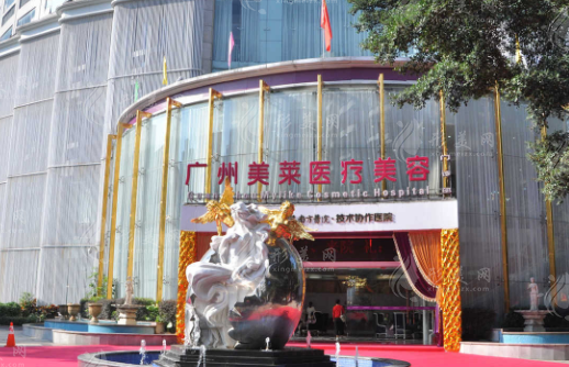 廣州美萊醫(yī)療美容門診部 廣州美萊醫(yī)療美容門診部