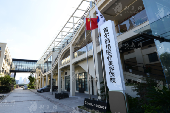 上海首爾麗格醫(yī)療美容醫(yī)院 上海首爾麗格醫(yī)療美容醫(yī)院