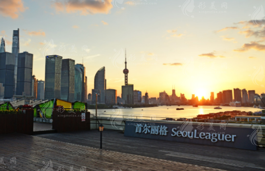 上海首爾麗格醫(yī)療美容醫(yī)院 上海首爾麗格醫(yī)療美容醫(yī)院