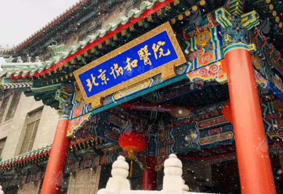 北京協(xié)和醫(yī)院整形外科 北京協(xié)和醫(yī)院整形外科