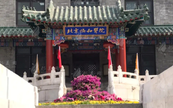 北京協(xié)和醫(yī)院整形外科 北京協(xié)和醫(yī)院整形外科