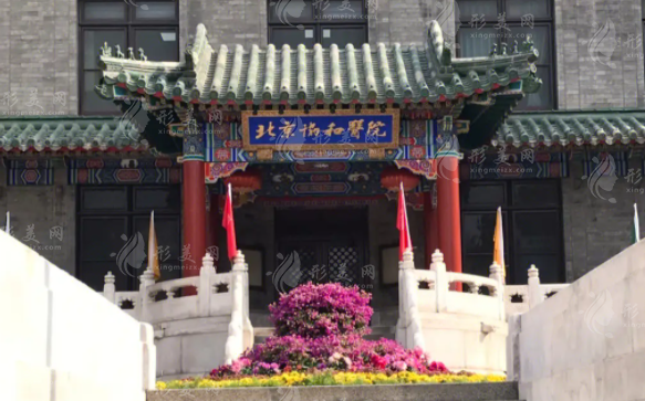 北京協(xié)和醫(yī)院整形外科 北京協(xié)和醫(yī)院整形外科