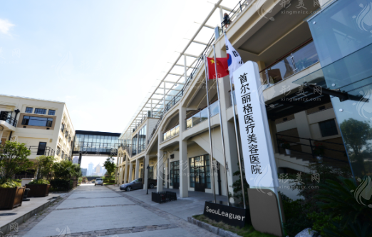 上海首爾麗格醫(yī)療美容醫(yī)院 上海首爾麗格醫(yī)療美容醫(yī)院