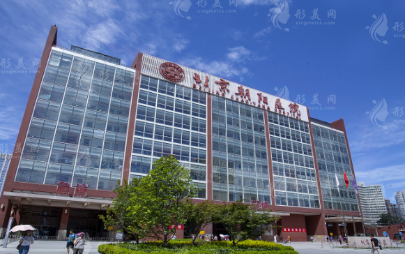 北京朝陽醫(yī)院整形外科 北京朝陽醫(yī)院整形外科