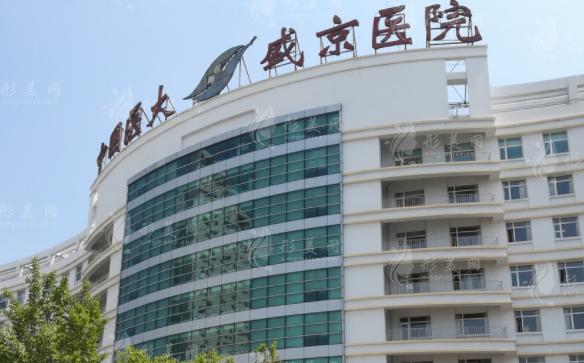 中國醫(yī)科大學(xué)附屬盛京醫(yī)院/整形美容科 中國醫(yī)科大學(xué)附屬盛京醫(yī)院/整形美容科
