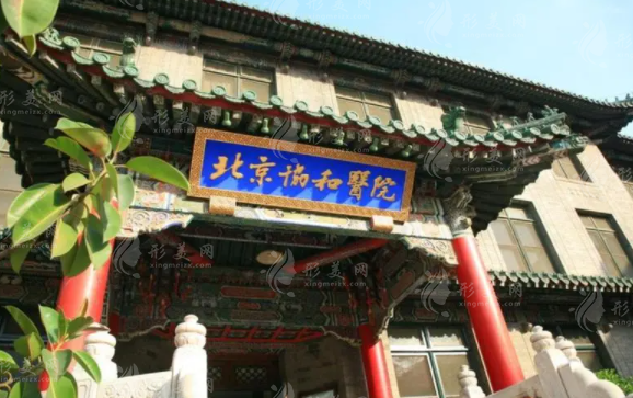 北京協(xié)和醫(yī)院植發(fā) 北京協(xié)和醫(yī)院植發(fā)