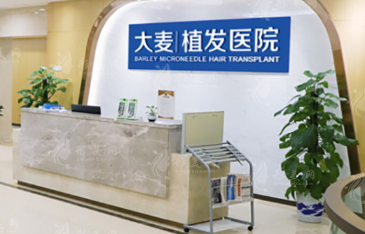 大麥微針植發(fā)