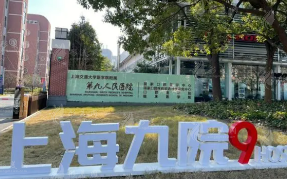上海九院隆鼻多少錢？魏皎醫(yī)生上榜，整復(fù)外科介紹/假體隆鼻科普