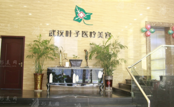 武漢葉子整形美容醫(yī)院 武漢葉子整形美容醫(yī)院