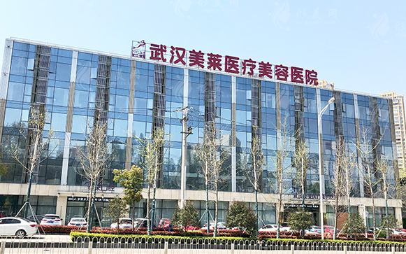 武漢美萊醫(yī)療美容醫(yī)院 武漢美萊醫(yī)療美容醫(yī)院
