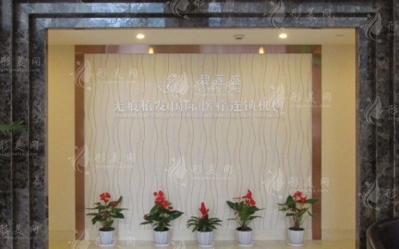 上海碧蓮盛植發(fā)醫(yī)院 上海碧蓮盛植發(fā)醫(yī)院