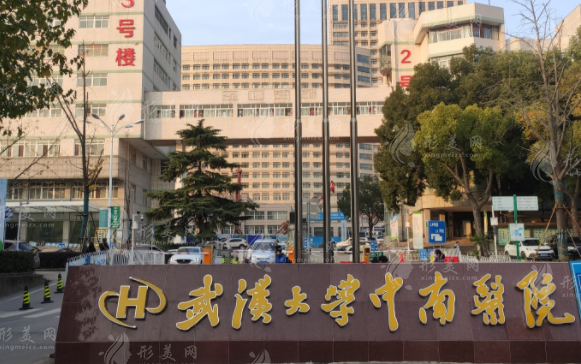 武漢中南醫(yī)院 武漢中南醫(yī)院