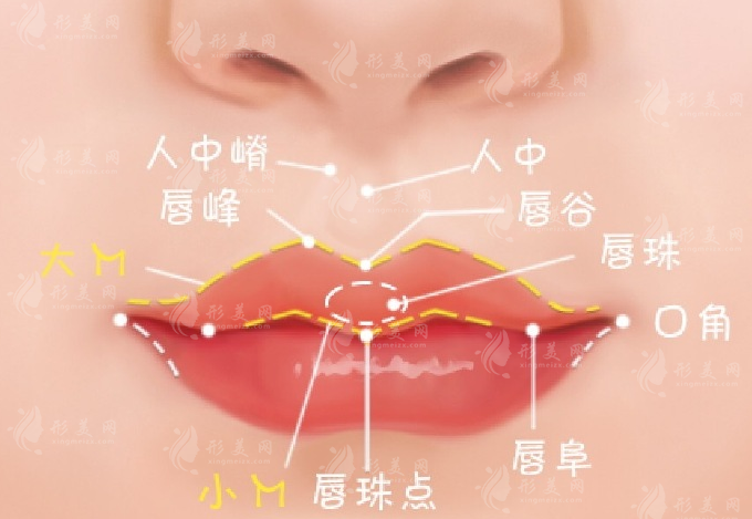 北京清木醫(yī)療美容豐唇項目價格多少錢？收費及熱心網(wǎng)友點評來襲