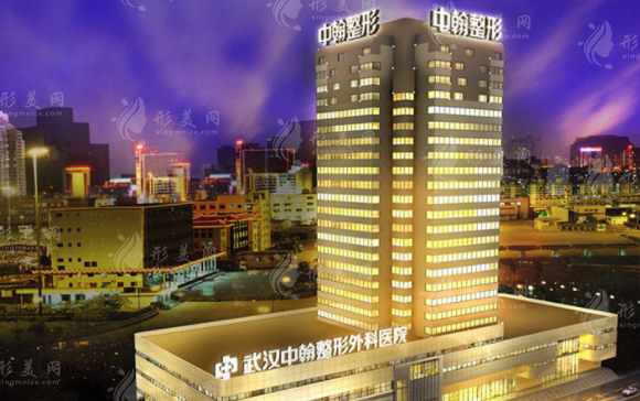 武漢中翰