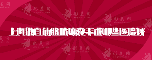 上海做自體脂肪填充手術(shù)哪些醫(yī)院好？口碑醫(yī)院紛紛上榜
