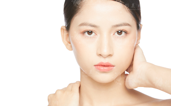 虞美人愛貝芙一支多少錢?2026全新價格曝光:1.6萬到底值不值? 虞美人愛貝芙一支多少錢?2026全新價格曝光:1.6萬到底值不值?