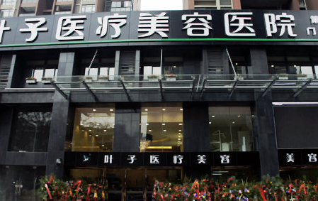 武漢葉子醫(yī)療美容醫(yī)院吸脂減肥整形價格表 - 珍美網(wǎng)