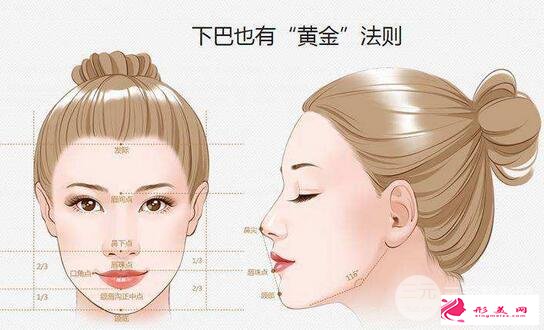 墊下巴多少錢