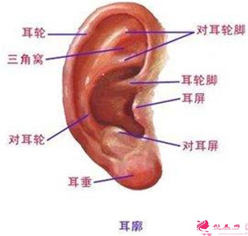 隱耳整形術(shù)哪家醫(yī)院好