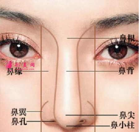 自體軟骨隆鼻多久穩(wěn)定