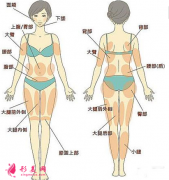 整形美容吸脂減肥多久能看到效果？
