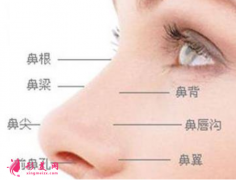 自體軟骨隆鼻前需要了解的問題？