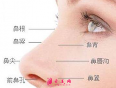 做鼻尖整形效果好不好？