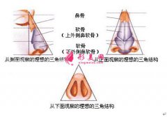 北京整形醫(yī)院鼻尖整形的價(jià)格是多少，效果怎么樣！