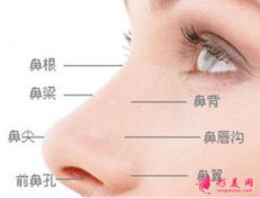 假體隆鼻后可以捏鼻子么？