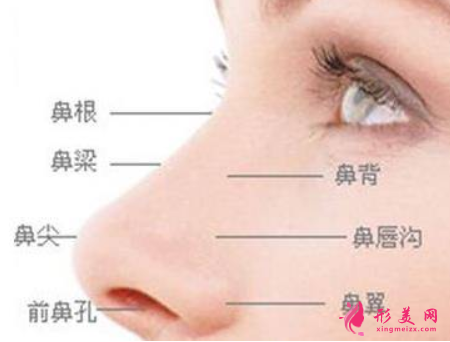 假體隆鼻后可以捏鼻子么