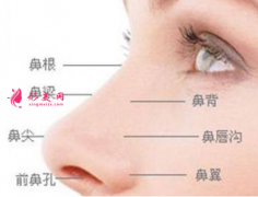 假體隆鼻需不需要定期更換？