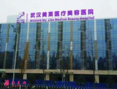 武漢美萊醫(yī)療美容醫(yī)院醫(yī)生簡(jiǎn)介|經(jīng)典項(xiàng)目|價(jià)格（目）表