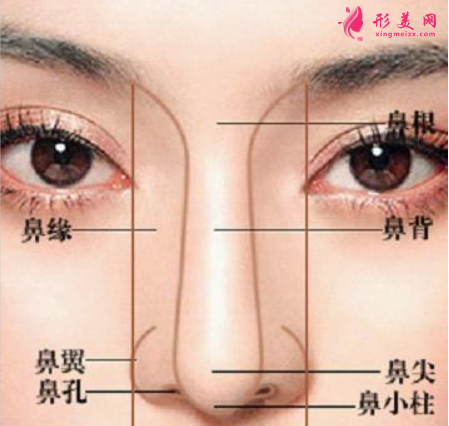 整鼻梁一般要多少錢