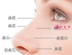 假體隆鼻大概要花多少錢？