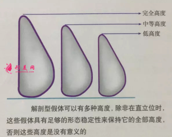 假體隆胸價錢要多少
