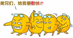 吸脂減肥大概要做多少次？