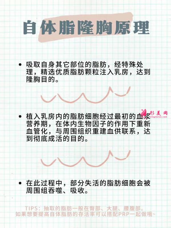 自體脂肪豐胸原理.jpg 自體脂肪豐胸原理.jpg