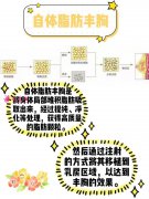 自體脂肪隆胸和假體哪個(gè)好？